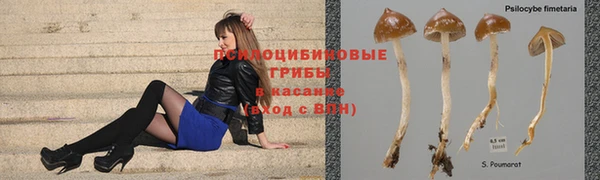соль ск Балабаново
