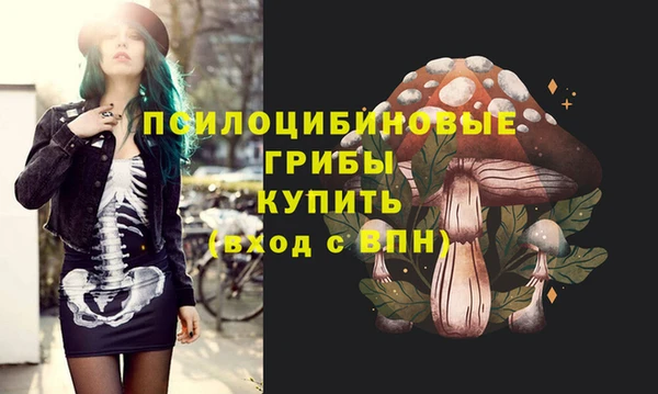 соль ск Балабаново