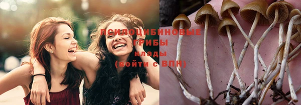 соль ск Балабаново